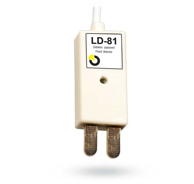 LD-81