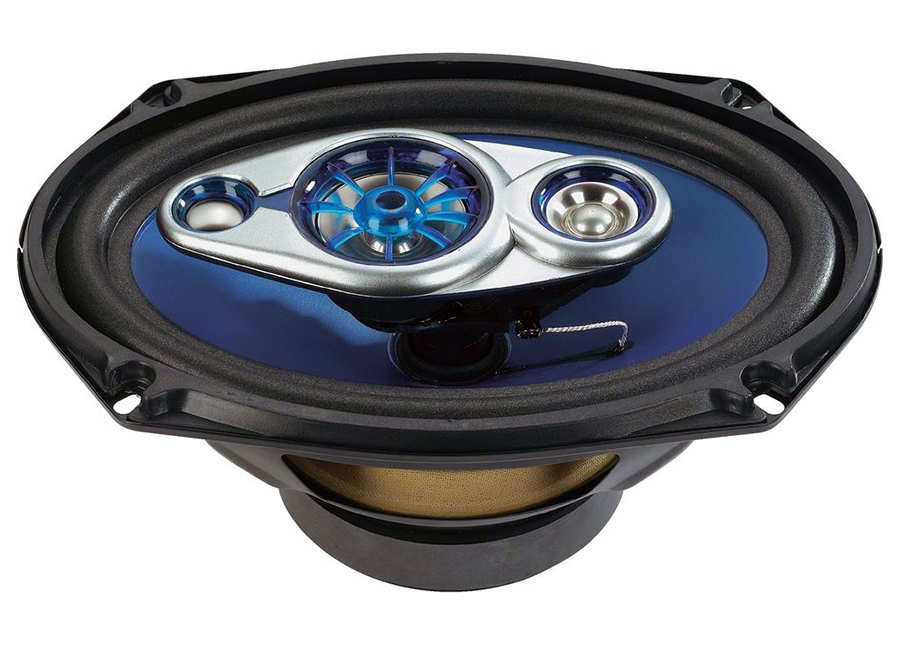 REPRODUKTORY 6x9 G-9633 BOSCHMANN